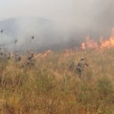 Қарасай ауданында егін алқаптарын өрт шалып, төтеншеліктер дабыл қақты