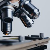 Ғалымдар адам миынан ғылымға белгісіз ағза тапты