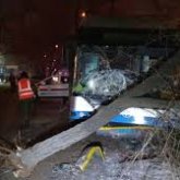 Алматыда адам қаққан троллейбус жүргізушісіне сот үкімі шықты