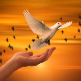 Кез келген дін мейірімділікті көздейді