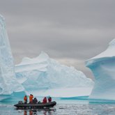 Антарктикадан да коронавирус жұқтырғандар табылды