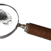 Бес вице-министрдің тергеуге алынғаны хабарланды