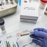 Қызылорда облысының дәрігерлері ПТР-сынамасының нәтижесін теріс көрсетіп, жалған анықтама сатқан