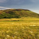 «Қандастарға» жер сатылмауы әрі жалға берілмеуі мүмкін