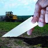 Мәжіліс жерді шетелдіктерге жалға беруге және сатуға тыйым салатын заң жобасын мақұлдады