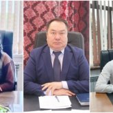 Шенеуніктер отбасына қатысты тексеру басталды