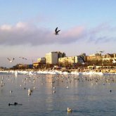 Экологиялық апат: Каспий теңізі Аралдың тағдырын қайталауы мүмкін