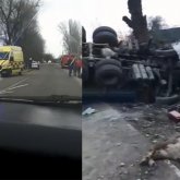 Талғарда жүк көлігі 3 сиырды қағып, жолаушыны мерт қылды