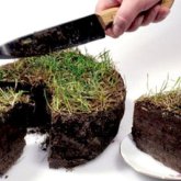 «Босалқы жер» деген әңгіменің артында қазақ жерін саудаға салу саясаты жатыр» - қоғам белсендісі