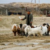 Қызылорда облысында төтенше жағдай жариялануы мүмкін