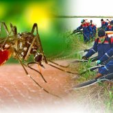 600 млн теңге бөлінген: Павлодарлықтар неге масаға таланып жатыр?