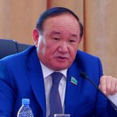 «Халық мемлекетке масыл болып алды» – сенат депутаты