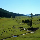 Сенат жерді жеке меншікке беруге қатысты мораторидің ұзартылғанын растады