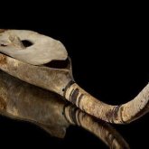 Домбыра - жер бетіндегі ең көне саз аспабы