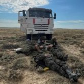 Әлсіреп құлай кеткен: Қарағанды облысында өрт сөндірушілердің әсерлі фотосы жарияланды