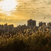 Жыл басынан бері қанша ел тұрғыны баспаналы болды?