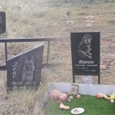 «Құлпытастар қойған»: Павлодарда заңсыз жануарлар қорымы анықталды