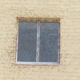 «Бұрын мұндайды көрмеп едік»: Ақтөбеде зиянкестер қаптап кетті