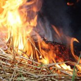 «Қымбаттату үшін әдейі өртейді»: Шығыс Қазақстанда 2000 тонна шөптің күлі көкке ұшты