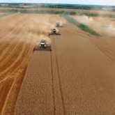 Агроөнеркәсіп кешенін дамыту үшін не істеліп жатыр?