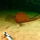 Мексикада майя өркениетіне тиесілі тағы бір жәдігер табылды