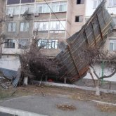 Жамбыл облысындағы дауылдан 17 жастағы бозбала көз жұмды