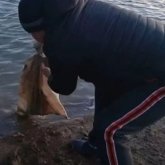 Атырауда жас балалар күшікті суға тұншықтырып ойнаған (видео)