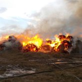 Жарма ауданында шаруа қожалығында 300 тоннаға жуық пішен өртеніп жатыр