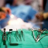 Дәрігерлер шақалақтың басын кесіп алған (ВИДЕО)