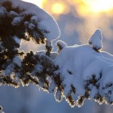 Қар жауып, боран соғады: Алдағы күндерге арналған ауа райы болжамы жарияланды