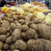 Әлеуметтік бағамен сатылатын көкөністің бәрі бірдей сапалы емес