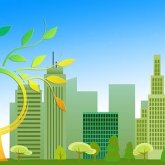 «Жасыл» экономика – ХХІ ғасырдағы адамзат үшін шұғыл қажеттілік