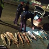 Атырауда бекіре балығын заңсыз тасымалдағандар ұсталды