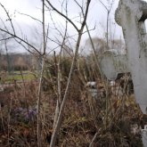 «Зиратқа бардым, әкем жерленген жер бос жатыр». Кәсіпкер марқұмның денесін қаздырып алып, басқа жерге қойғызған