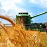 Ресей астығын әлем жеңілдікпен де алмай жатыр