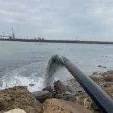 Каспийге құйылып жатқан қара сұйықтықтан сынама алынды