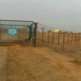 500-ге жуық этникалық қазақ Түрікменстаннан оралады