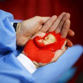 «Түсік жасатуға болмайды»: Жұрт жаңа заңға жаппай қарсы шығуда