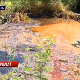 Алматы облысында шарап зауыты қалдықтарын ауылға төккен