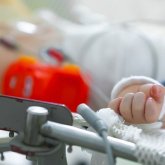 Балабақша балалары екі жасар бүлдіршінді сау-тамтығын қалдырмай тістеп тастаған