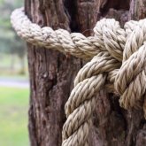 Солтүстік Қазақстанда ер адам 8 жасар баланың мойнына арқан іліп, ағашқа байлап кеткен