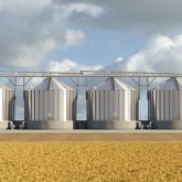 Астық салынған бөшке 13 жасар бала мен оның әпкесін құм секілді сорып әкеткен