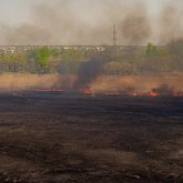 «Қостанай облысының экожүйесін қалпына келтіру үшін 150 жыл қажет» – мамандар