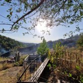 «Кеңсайдағы» өрттен 60 зират бүлінген