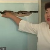 «Қабырғадағы жарықшақтардан келесі кабинет көрінеді»: Сайрамдағы 375 миллионға салынған мектеп құлағалы тұр