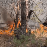 «Қостанай облысындағы өрттің тұтануына адами фактор себеп болған» - Юрий Ильин
