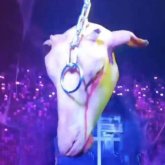 «Қой мен шошқаның басын іліп қойған»: Қазақтар Хэллоуинді қалай тойлады?