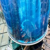 Берлинде 1500 балығы бар алып аквариум жарылды (ВИДЕО)