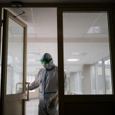 Ақтөбеде шошқа тұмауы анықталды