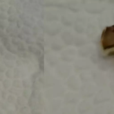 Үйге тапсырыспен әкелінген сушиден алтын тіс шыққан